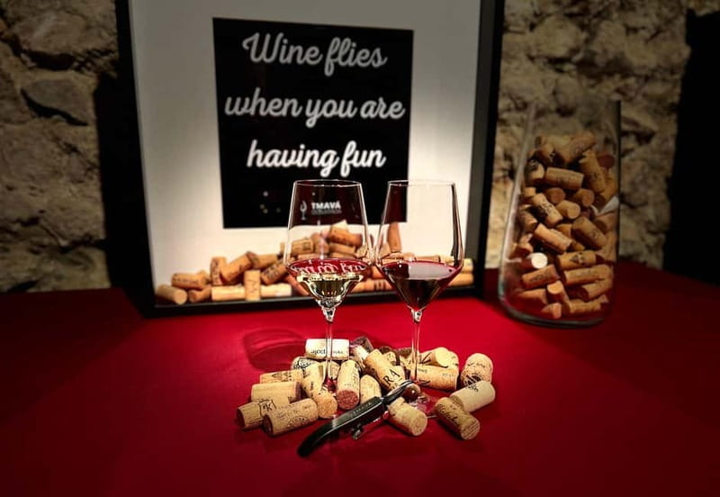 Bratislava: Wine Tasting Experience in the Dark - Key points to know before booking