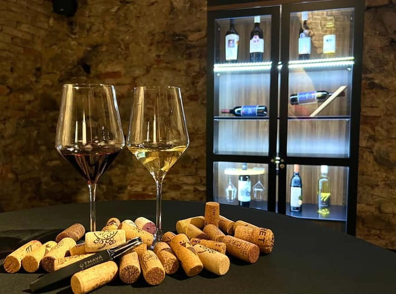 Bratislava: Wine Tasting Experience in the Dark - Entering the cellar at Michalská 3