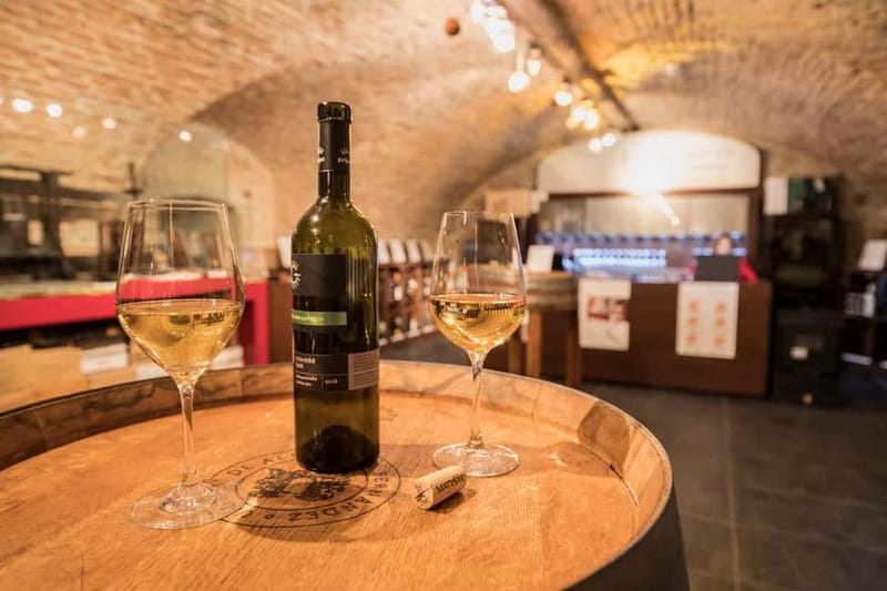 Bratislava: Wine Tasting with Sommelier - Choosing between three, five, and 72 wines