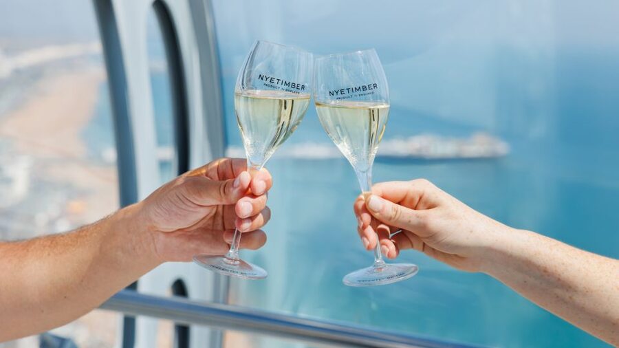 Brighton: i360 Entry & Champagne (Soft Drink for Under 18s) - Brighton from 138 meters above the seafront