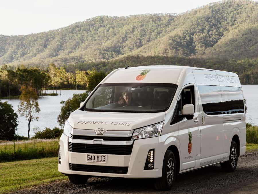 Brisbane: Boutique Winery Tour with Gourmet Lunch - Should you book the Pineapple Tours wine tour?