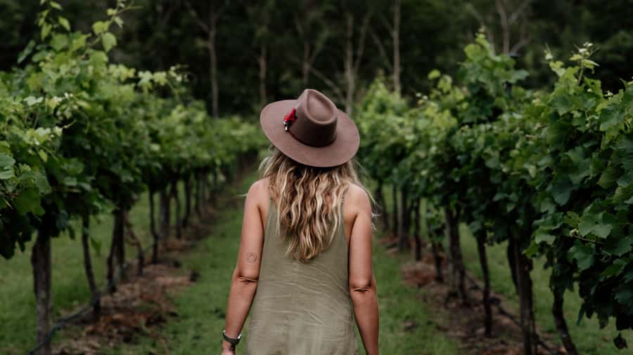 Brisbane: Boutique Winery Tour with Gourmet Lunch - First pours at Hampton Estate Winery