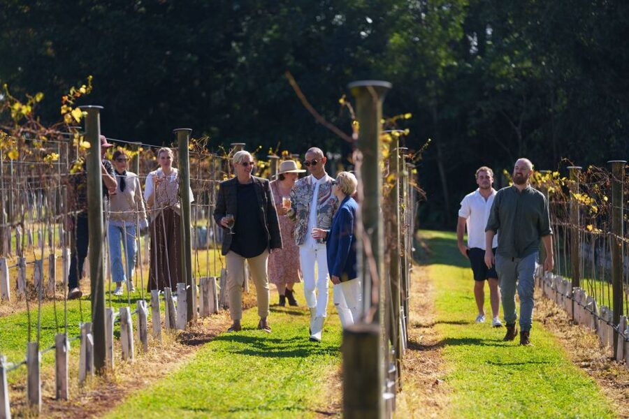Brisbane: Tamborine Wine & Distillery Tour - Should you book The Vino Bus?