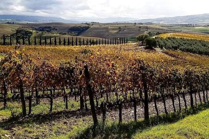 Brunello Wine Tour and Val D'Orcia Landscape - Behind the winery doors