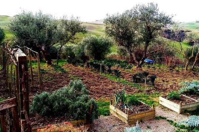 Brunello Wine Tour and Val D'Orcia Landscape - What the flexible format really means
