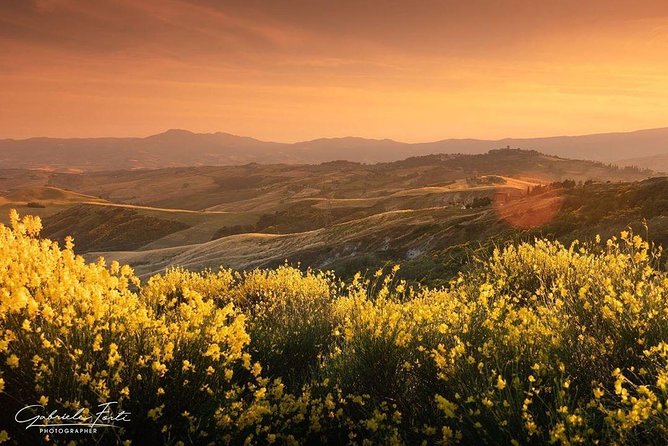 Brunello Wine Tour and Val D'Orcia Landscape - Price and the value of a small private group