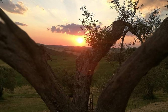 Brunello Wine Tour and Val D'Orcia Landscape - Pienza and the hill-town setting