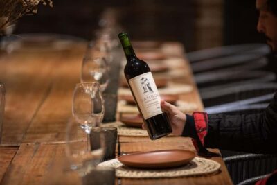 Buenos Aires: Wine Tasting and Lunch at Bodega Gamboa