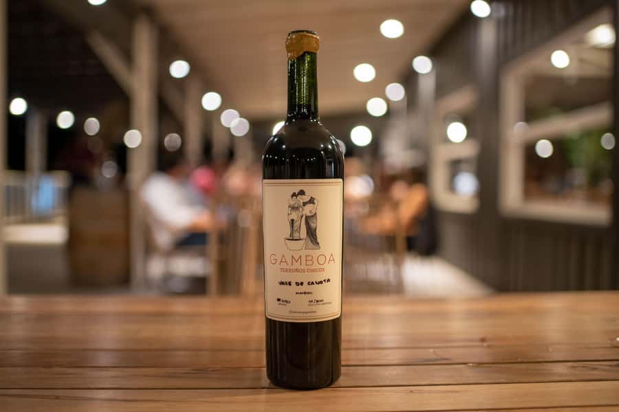 Buenos Aires: Wine Tasting and Lunch at Bodega Gamboa - A Long, Generous Lunch at the Winery