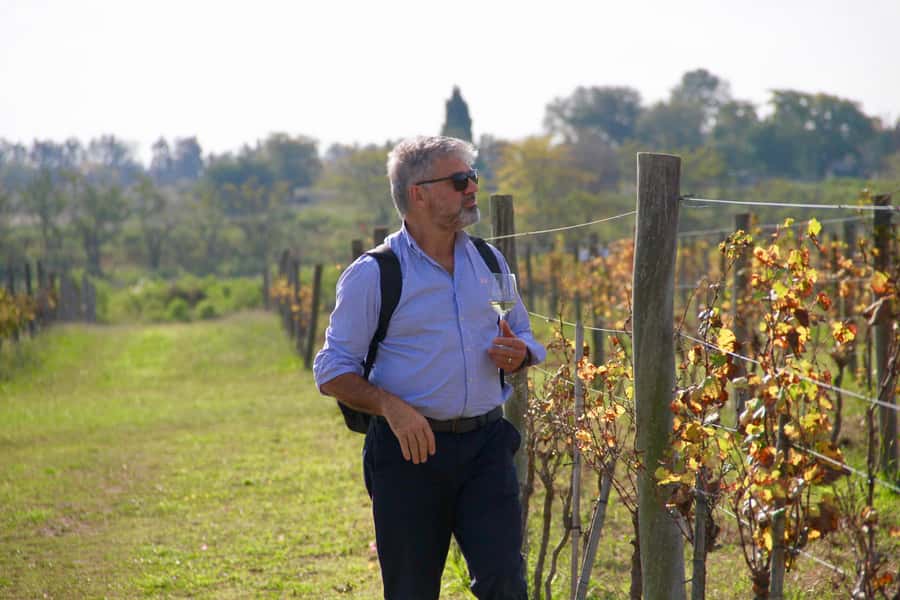 Buenos Aires: Wine Tasting and Lunch at Bodega Gamboa - What the Buenos Aires Wine Region Adds