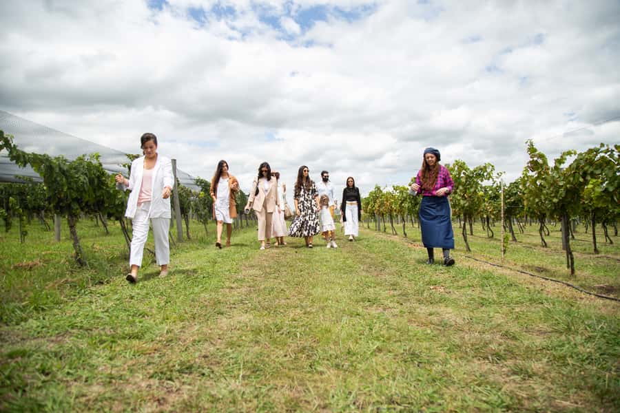 Buenos Aires: Wine Tasting and Lunch at Bodega Gamboa - Timing, Transport, and the Real Value