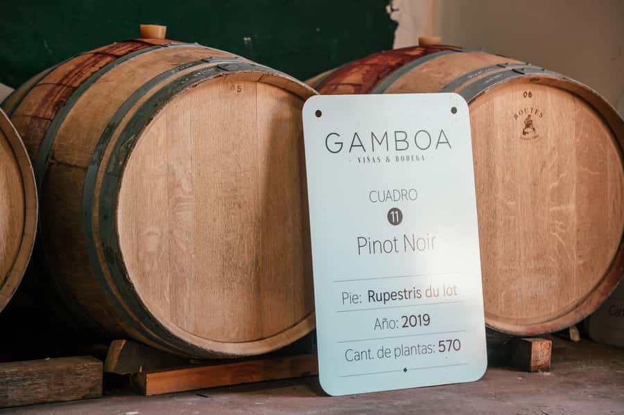 Buenos Aires: Wine Tasting and Lunch at Bodega Gamboa - Should You Book Bodega Gamboa?