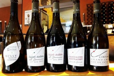 Burgundy Bike Tour with Wine Tasting from Beaune