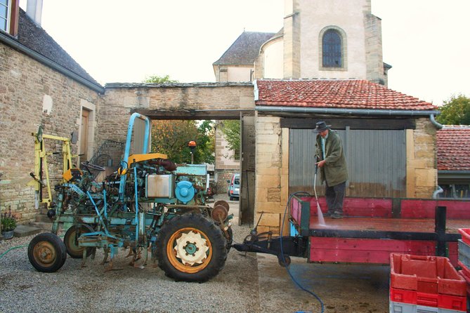Burgundy Bike Tour with Wine Tasting from Beaune - The second tasting connects Pommard, Volnay, and Meursault