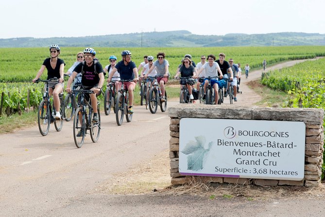 Burgundy Bike Tour with Wine Tasting from Beaune - Standard bike or e-bike?