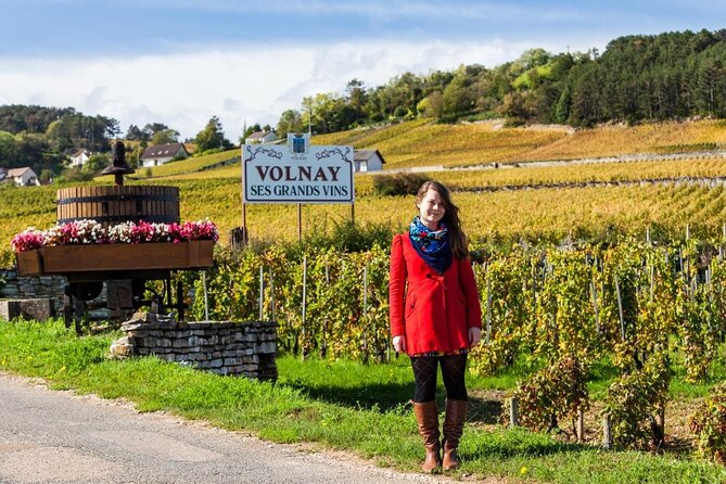 Burgundy Grand Crus Route Day Tour - 14 Wines Tastings in Domains - A full day through Burgundy’s most prized vineyards