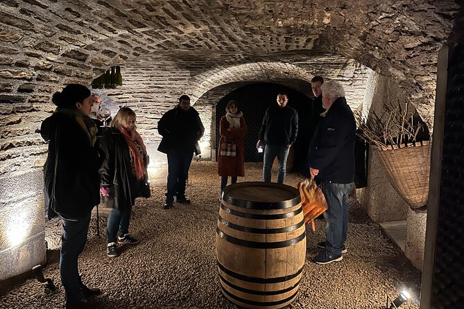 Burgundy Grand Crus Route Day Tour - 14 Wines Tastings in Domains - Meeting in Beaune at 9:30 in the morning