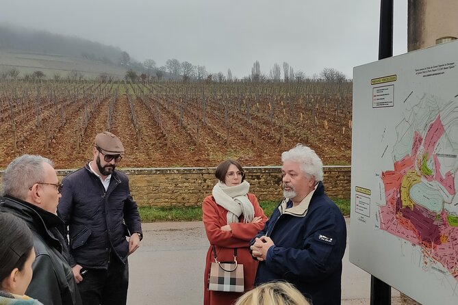 Burgundy Grand Crus Route Day Tour - 14 Wines Tastings in Domains - Tasting near Nuits-Saint-Georges