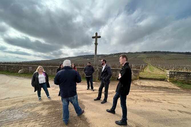 Burgundy Grand Crus Route Day Tour - 14 Wines Tastings in Domains - Lunch in or near Nuits-Saint-Georges