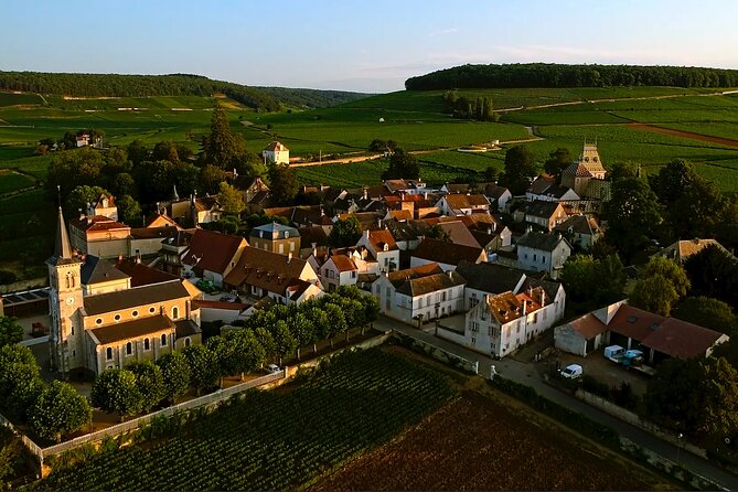 Burgundy Grand Crus Route Day Tour - 14 Wines Tastings in Domains - What the guides add to the day