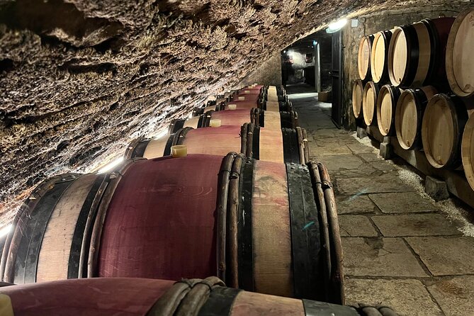 Burgundy Grand Crus Route Day Tour - 14 Wines Tastings in Domains - Driving the Route des Grands Crus