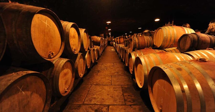 Burgundy Wines Full-Day Tasting Tour from Dijon - Key points to know before booking