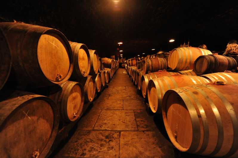 Burgundy Wines Full-Day Tasting Tour from Dijon - Leaving Dijon for the Côte de Beaune