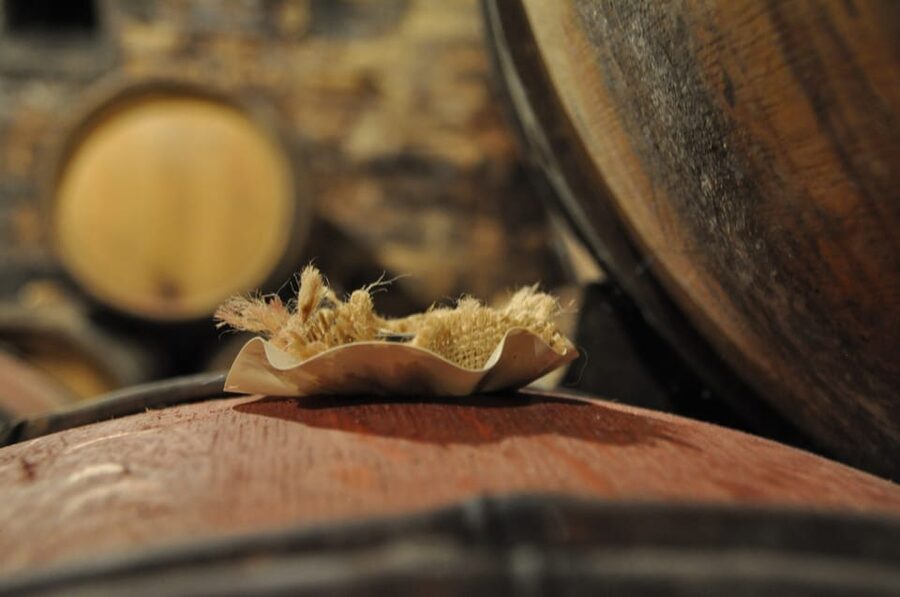 Burgundy Wines Full-Day Tasting Tour from Dijon - A second look at the Côte de Nuits