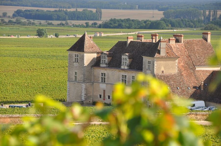 Burgundy Wines Full-Day Tasting Tour from Dijon - The Corton hills and Burgundy’s vineyard logic