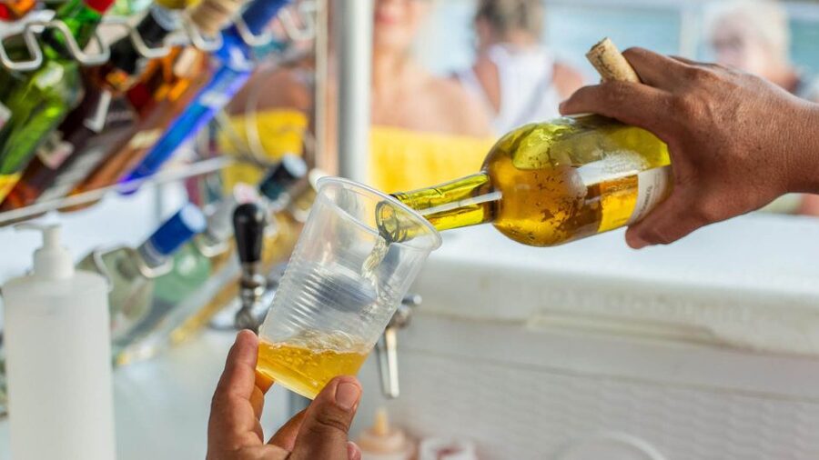 Cabo San Lucas: 2 Hour Sunset Cruise with Food and Wine - How to judge the weather and timing