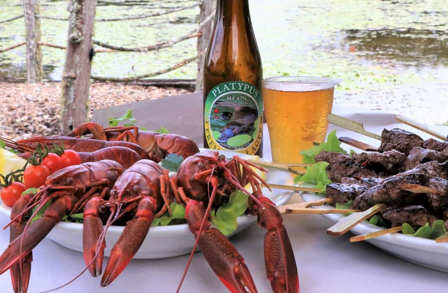 Cairns: Atherton Tablelands Full-Day Adventure - The guides are part of the value