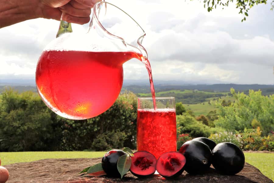 Cairns: Atherton Tablelands Full-Day Adventure - Gallo Dairyland is more than a cheese counter
