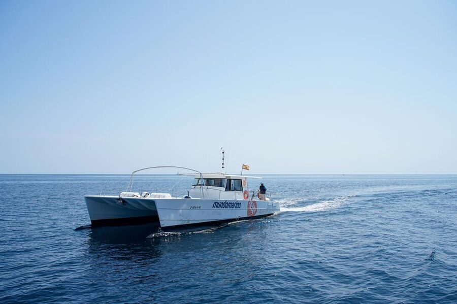 Calpe: Sunset Cruise with Sparkling Wine - Cava, music, and the social side of the trip