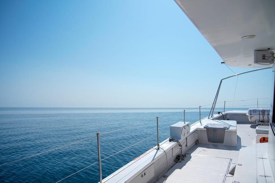 Calpe: Sunset Cruise with Sparkling Wine - The chance of dolphins near the catamaran