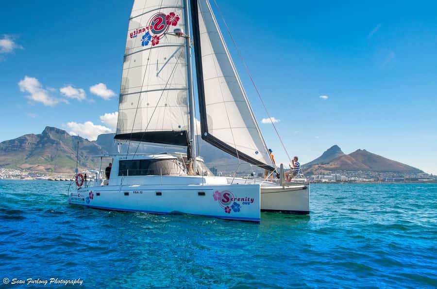 Cape Town: 1.5-Hour Luxury Sunset Cruise with Prosecco - At a glance