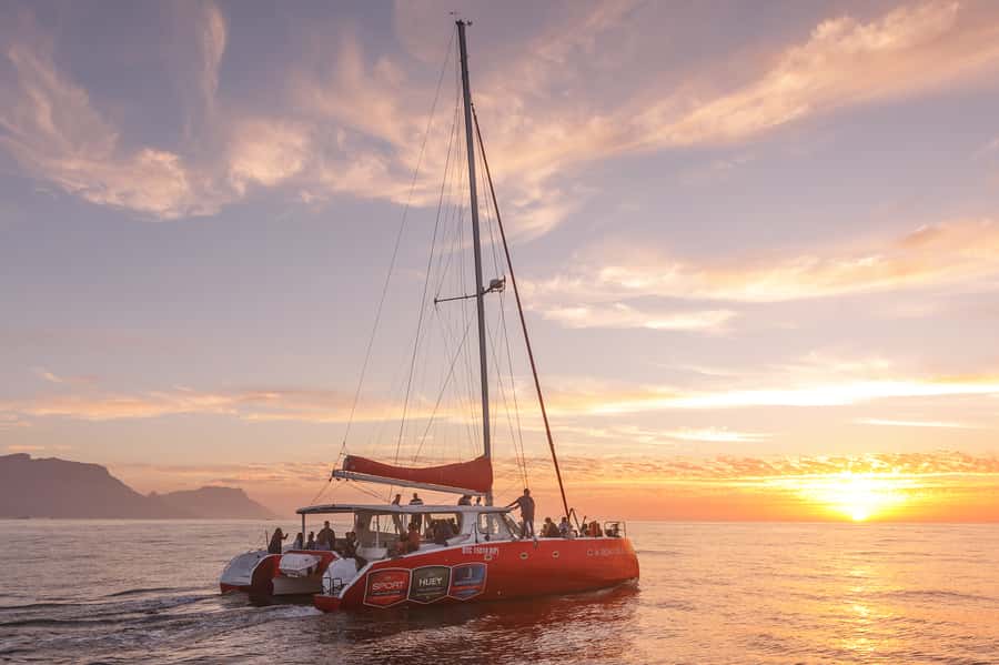 Cape Town: Catamaran Champagne Sunset Cruise - Is $37 a fair price?
