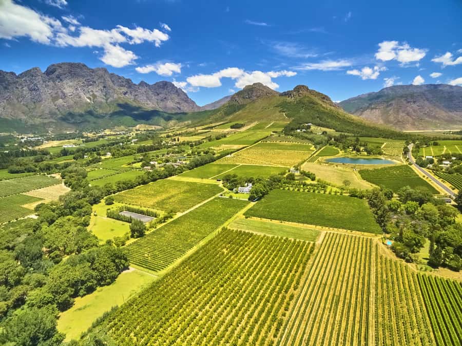 Cape Town: Full-Day Wine Tasting Tour with Wine Tram - Tokara, granite soils, and Cape blends