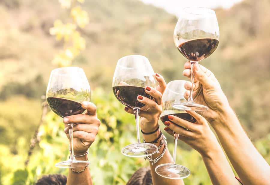 Cape Town: Full-Day Wine Tasting Tour with Wine Tram - Riding the Franschhoek wine tram