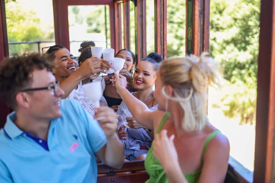 Cape Town: Full-Day Wine Tasting Tour with Wine Tram - The Mandela stop on the way back