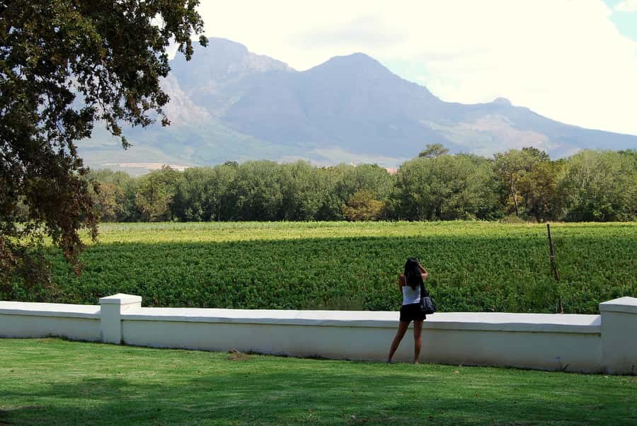 Cape Town: Full-Day Winelands Tour with Wine Tastings & Food - Key points to know before booking