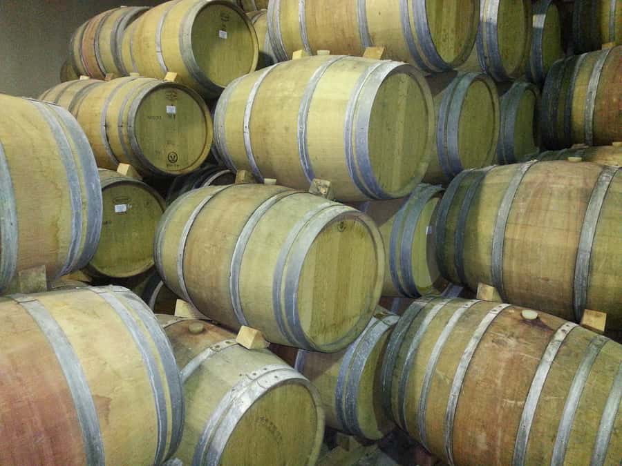 Cape Town: Full-Day Winelands Tour with Wine Tastings & Food - Who will get the most from this tour?