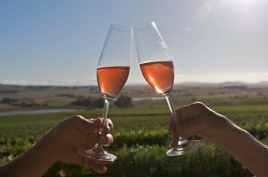 Cape Town: a full day through the Winelands