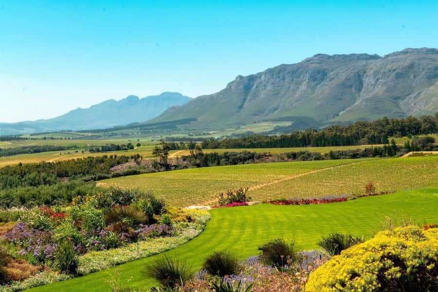 Cape Town: Guided Winelands Tour & Tasting in Stellenbosch - Inside Zevenwacht’s working wine cellar