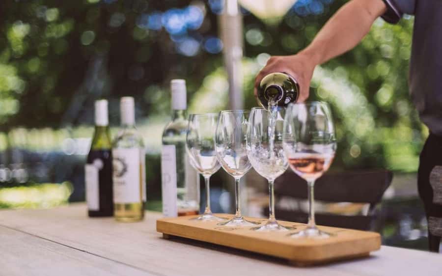 Cape Town: Guided Winelands Tour & Tasting in Stellenbosch - How the four-hour timing really feels