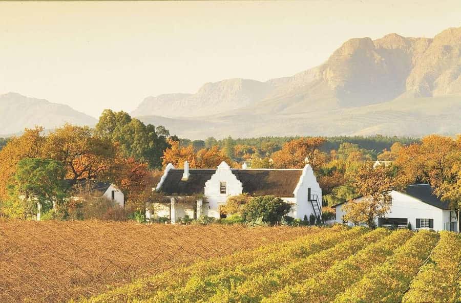 Cape Town: Guided Winelands Tour & Tasting in Stellenbosch - Getting back to Cape Town without the fuss