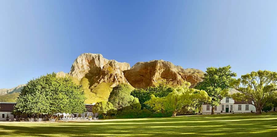 Cape Town: Guided Winelands Tour & Tasting in Stellenbosch - What you taste beyond the wine