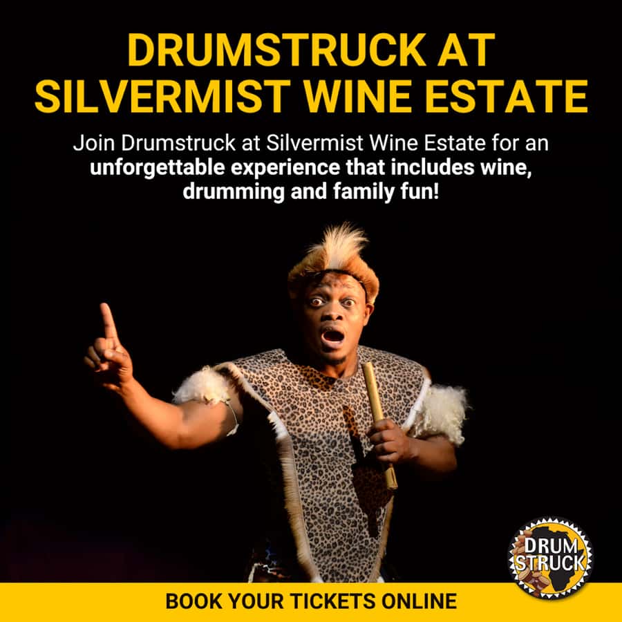 Cape Town: Silvermist Estate Wine Tasting & Drumstruck Show - The views and the weather