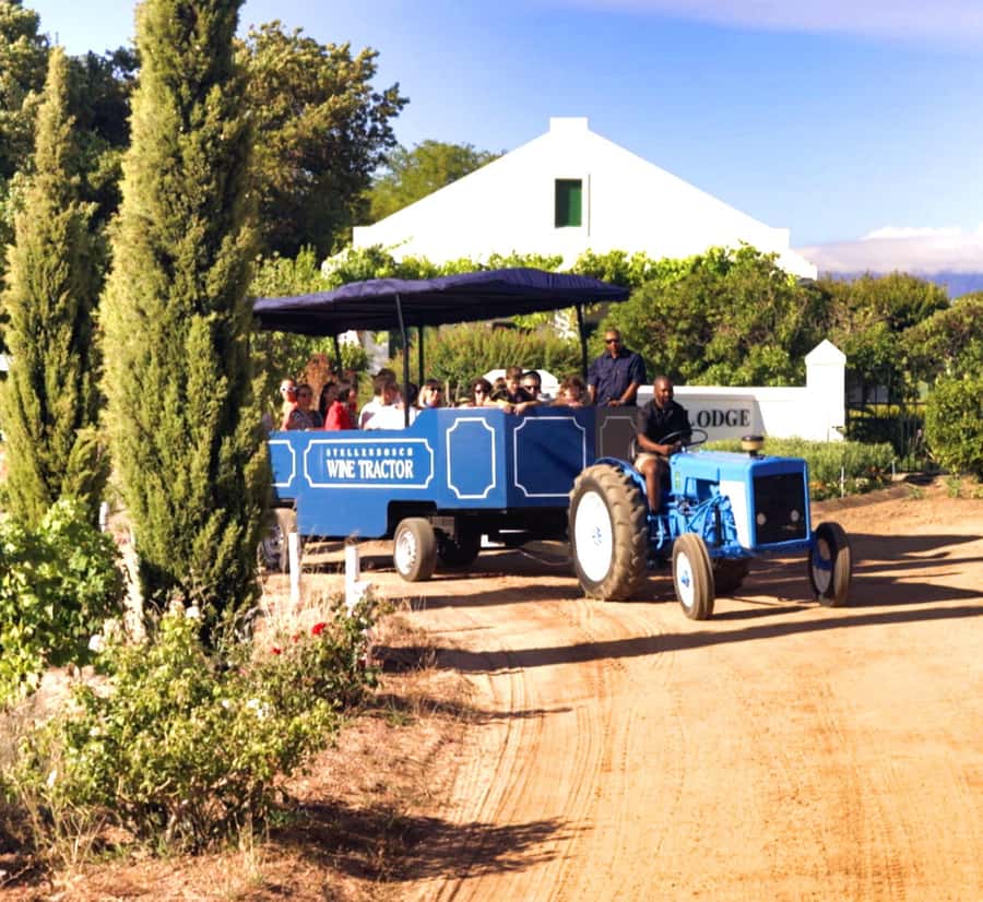 Cape Town: Stellenbosch Hop-On Hop-Off Tractor Transfer - Why the tractor is the point