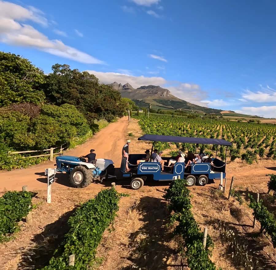 Cape Town: Stellenbosch Hop-On Hop-Off Tractor Transfer - What a 65-minute stop feels like