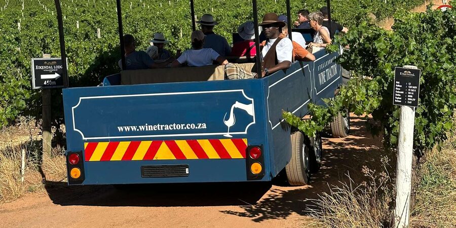 Cape Town: Stellenbosch Hop-On Hop-Off Tractor Transfer - The guides and the commentary